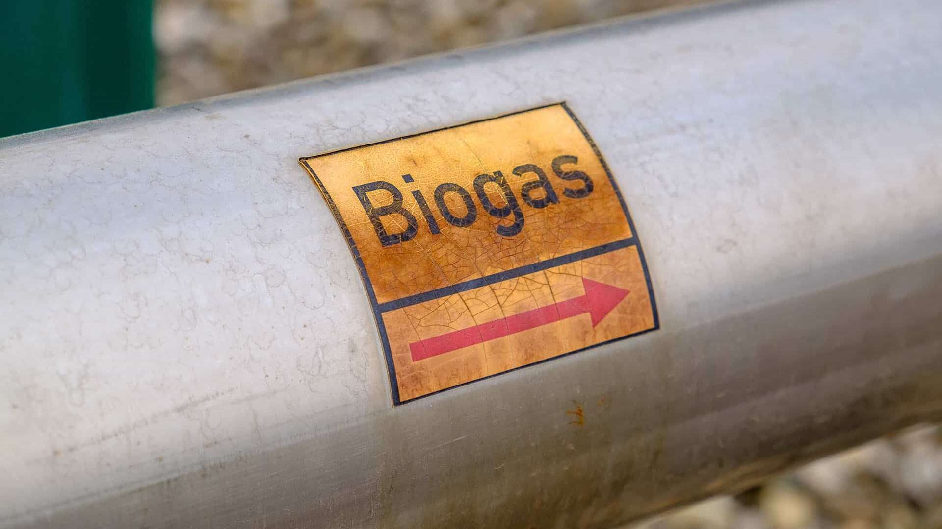 Grundwissen Biogas: Diese Fakten sollten Sie kennen