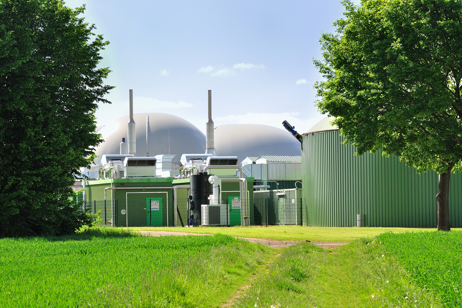 Zukunftsaussicht Biogas – ohne geht es nicht