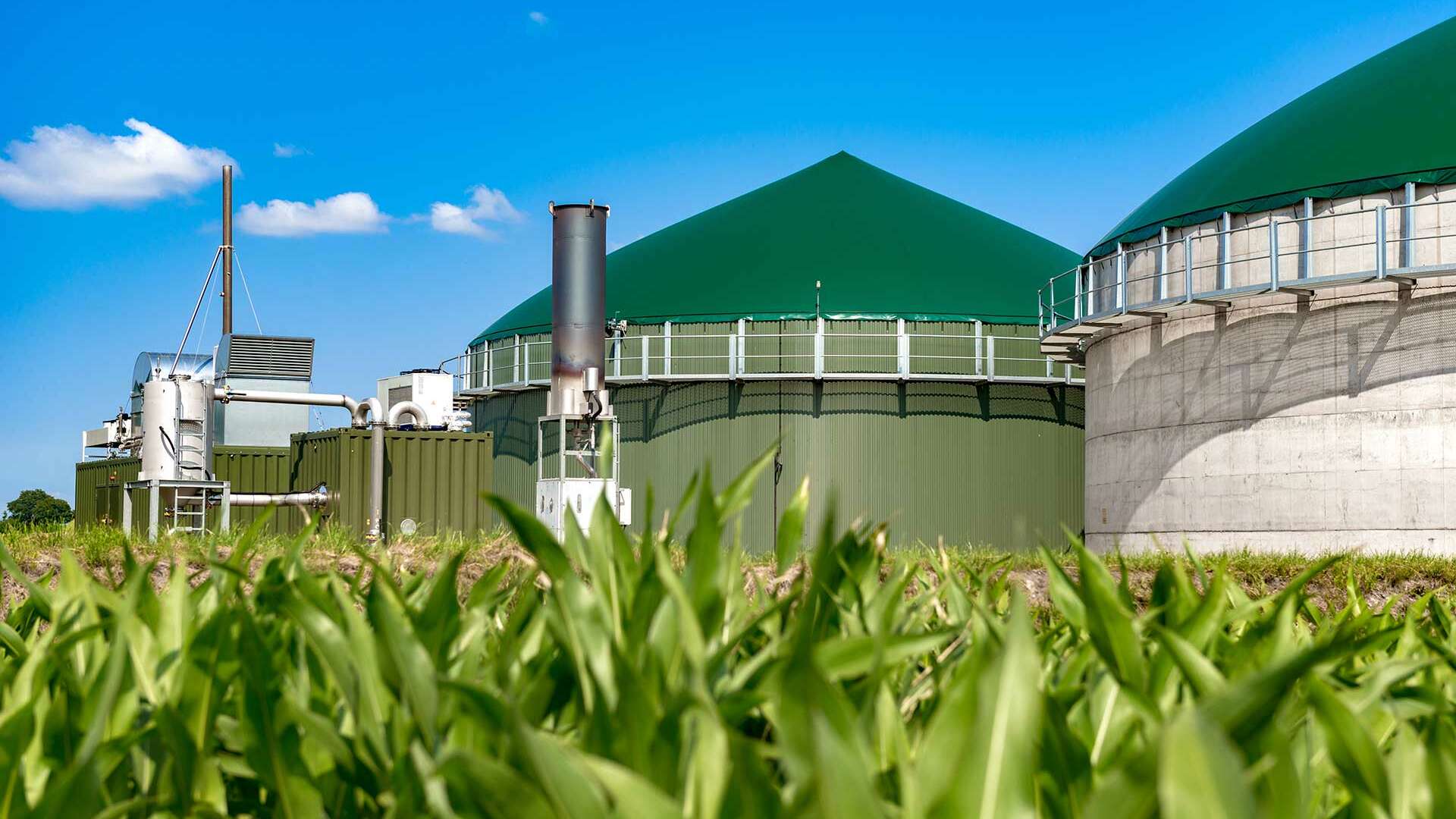Biomasse: Aufnahme einer Biogasanlage