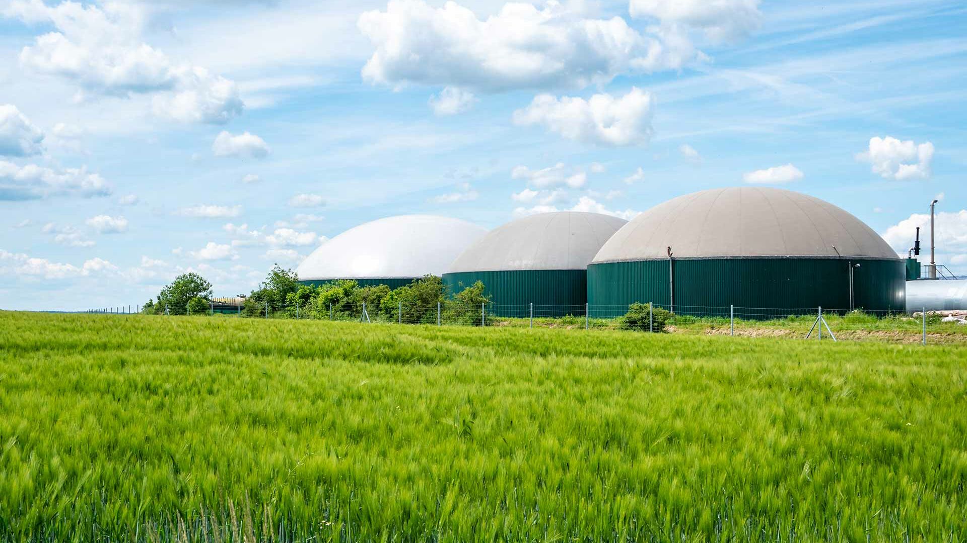 Klimaschutz: Welchen Beitrag kann Biogas leisten?