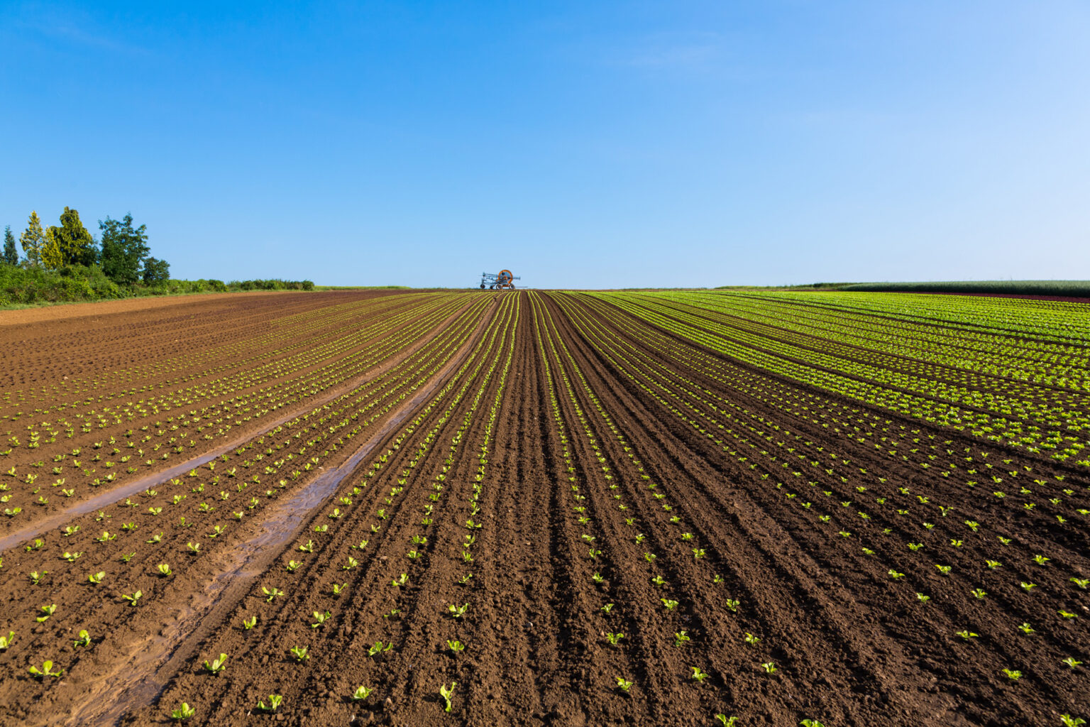Konventionelle Landwirtschaft unter der Lupe
